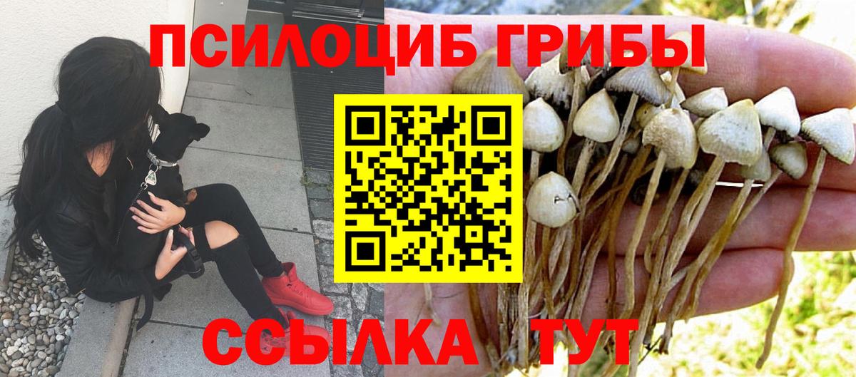 Псилоцибиновые грибы MAGIC MUSHROOMS  Вход с VPN  Псилоцибиновые грибы Magic Shrooms  Нефтеюганск 